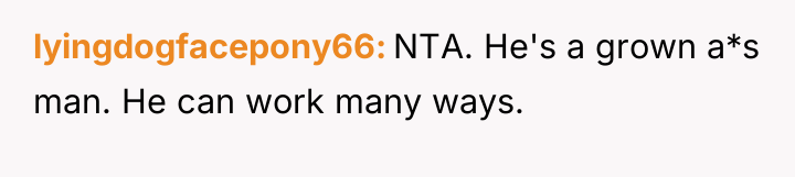 lyingdogfacepony66 NTA. He's a grown a*s man. He can work...
