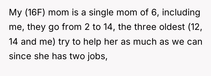My (16F) mom is a single mom of 6, including...