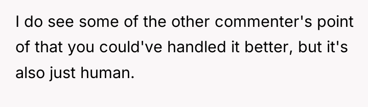 I do see some of the other commenter's point of...