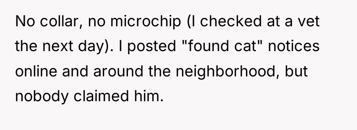 No collar, no microchip (I checked at a vet the...