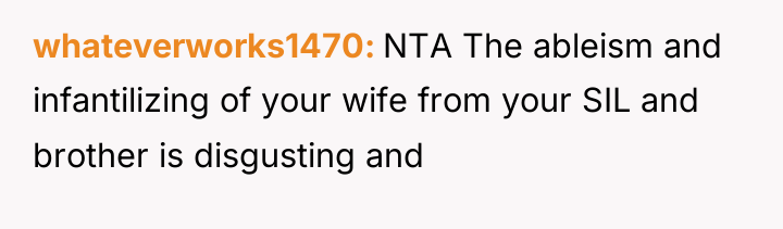 whateverworks1470 NTA The ableism and infantilizing of your wife from...