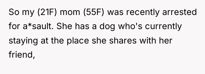 So my (21F) mom (55F) was recently arrested for a*sault....