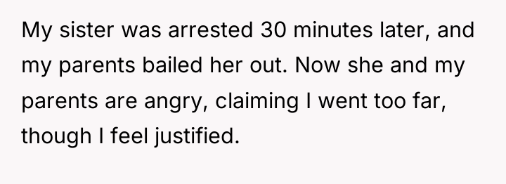 My sister was arrested 30 minutes later, and my parents...