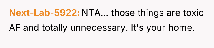 Next-Lab-5922 NTA... those things are toxic AF and totally unnecessary....
