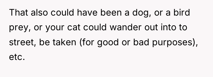 That also could have been a dog, or a bird...