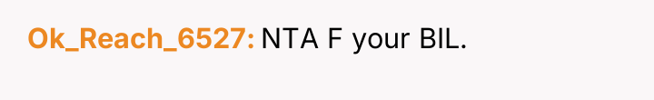 Ok_Reach_6527 NTA F your BIL.