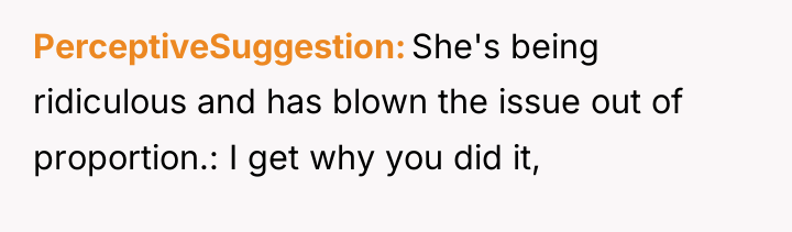 PerceptiveSuggestion She's being ridiculous and has blown the issue out...