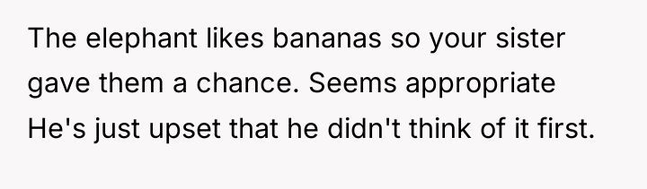 The elephant likes bananas so your sister gave them a...