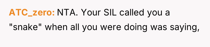 ATC_zero NTA. Your SIL called you a "snake" when all...