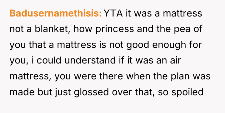 Badusernamethisis YTA it was a mattress not a blanket, how...