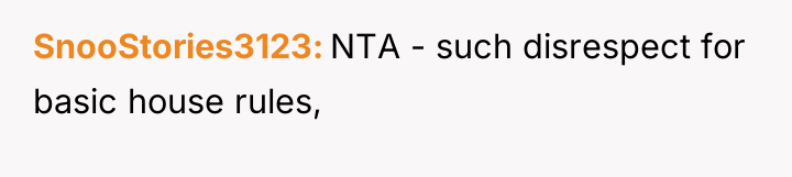 SnooStories3123 NTA - such disrespect for basic house rules,