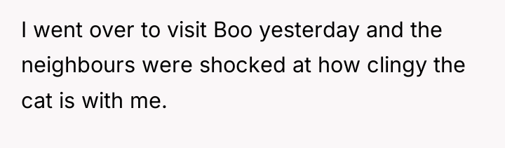 I went over to visit Boo yesterday and the neighbours...