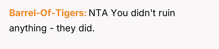 Barrel-Of-Tigers NTA You didn't ruin anything - they did.