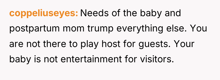 coppeliuseyes Needs of the baby and postpartum mom trump everything...