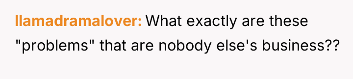 llamadramalover What exactly are these "problems" that are nobody else's...