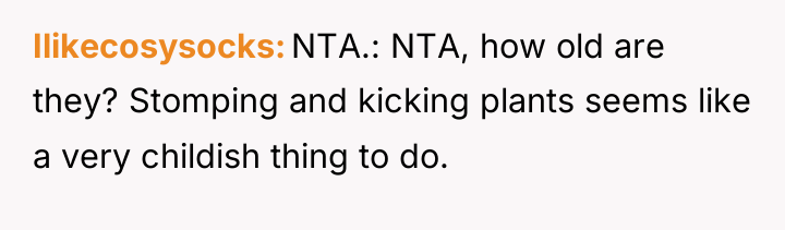 Ilikecosysocks NTA.: NTA, how old are they? Stomping and kicking...