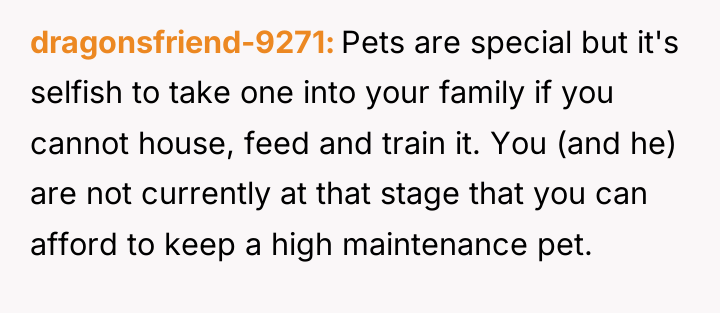dragonsfriend-9271 Pets are special but it's selfish to take one...