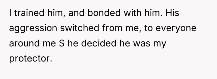 I trained him, and bonded with him. His aggression switched...