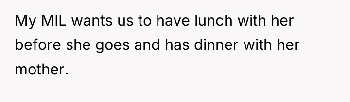 My MIL wants us to have lunch with her before...