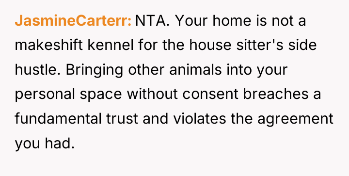 JasmineCarterr NTA. Your home is not a makeshift kennel for...