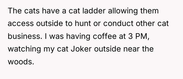 The cats have a cat ladder allowing them access outside...