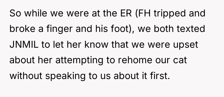So while we were at the ER (FH tripped and...