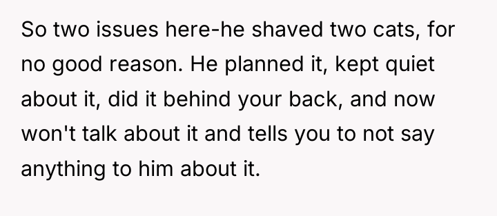 So two issues here-he shaved two cats, for no good...
