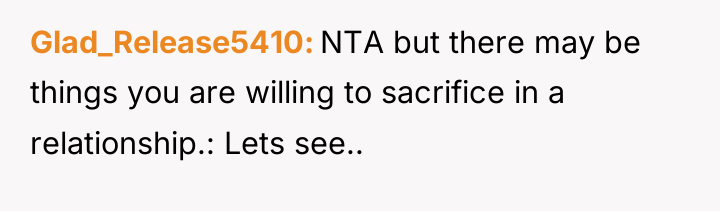 Glad_Release5410 NTA but there may be things you are willing...