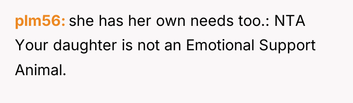 plm56 she has her own needs too.: NTA Your daughter...