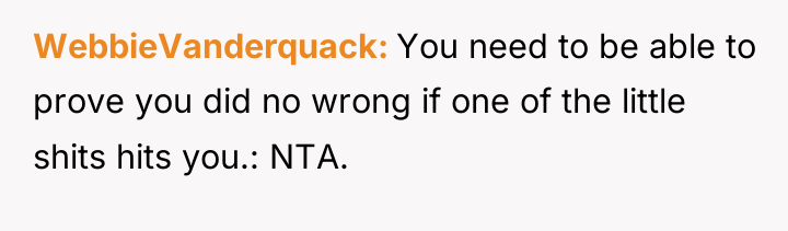 WebbieVanderquack You need to be able to prove you did...