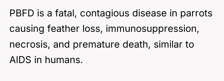 PBFD is a fatal, contagious disease in parrots causing feather...