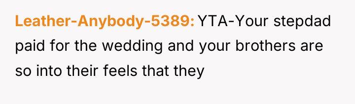 Leather-Anybody-5389 YTA-Your stepdad paid for the wedding and your brothers...