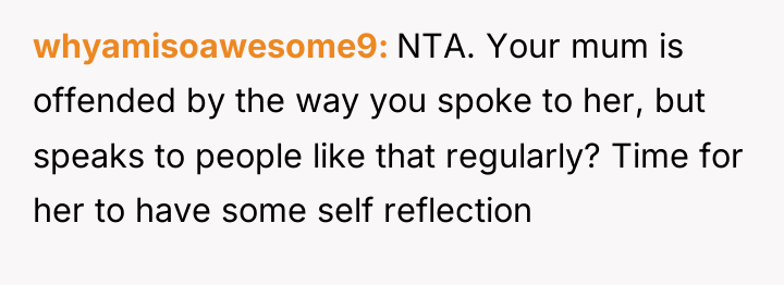 whyamisoawesome9 NTA. Your mum is offended by the way you...