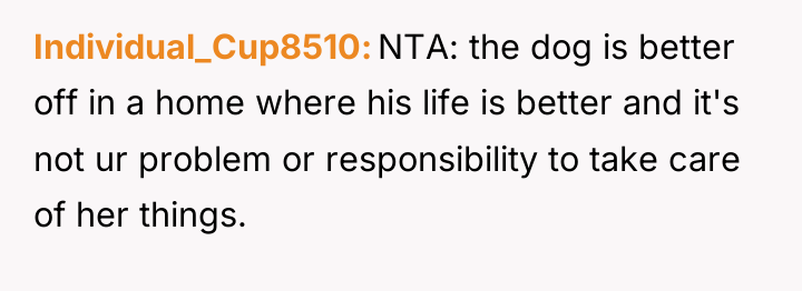 Individual_Cup8510 NTA: the dog is better off in a home...