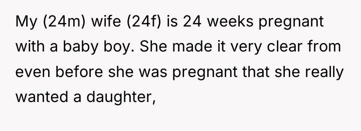My (24m) wife (24f) is 24 weeks pregnant with a...