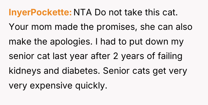 InyerPockette NTA Do not take this cat. Your mom made...
