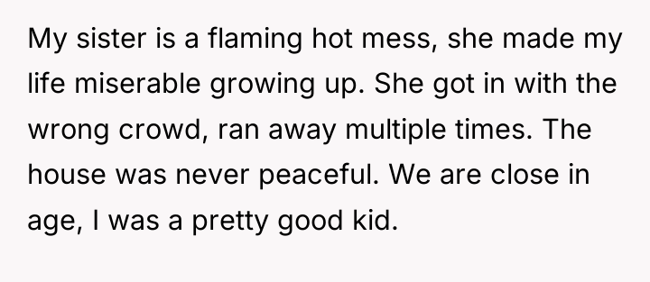 My sister is a flaming hot mess, she made my...