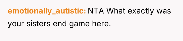 emotionally_autistic NTA What exactly was your sisters end game here.