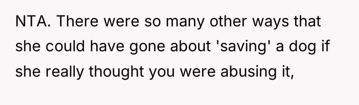 NTA. There were so many other ways that she could...