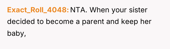 Exact_Roll_4048 NTA. When your sister decided to become a parent...