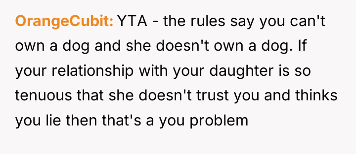 OrangeCubit YTA - the rules say you can't own a...