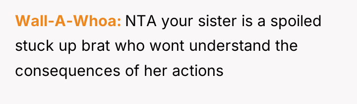 Wall-A-Whoa NTA your sister is a spoiled stuck up brat...