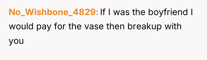 No_Wishbone_4829 If I was the boyfriend I would pay for...