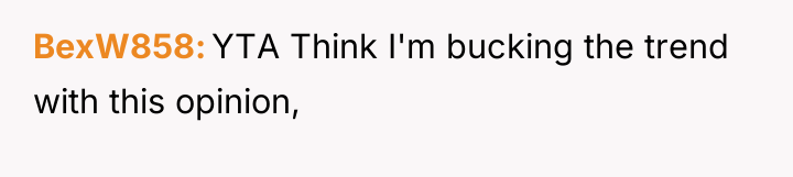BexW858 YTA Think I'm bucking the trend with this opinion,
