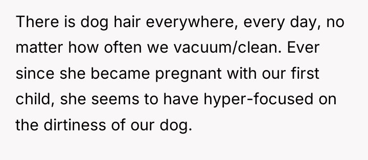 There is dog hair everywhere, every day, no matter how...