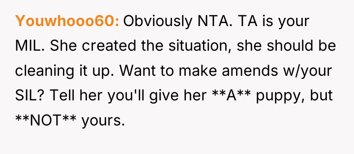 Youwhooo60 Obviously NTA. TA is your MIL. She created the...