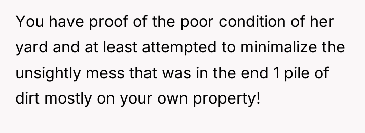 You have proof of the poor condition of her yard...