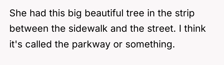 She had this big beautiful tree in the strip between...