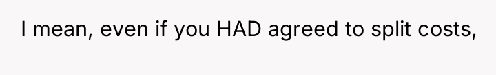 I mean, even if you HAD agreed to split costs,