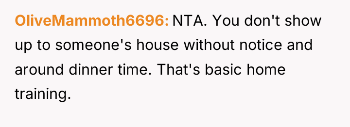 OliveMammoth6696 NTA. You don't show up to someone's house without...
